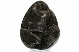 Septarian Dragon Egg Geode - Sparkly Black Crystals #308809-1